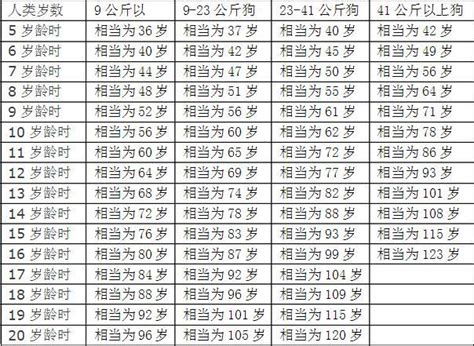 狗年出生的人|生肖属狗的年份 狗属相年份表